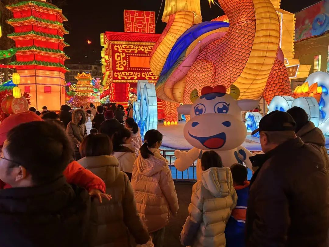 央視直播鄭州龍年燈會迎新春，花花牛品牌上大分