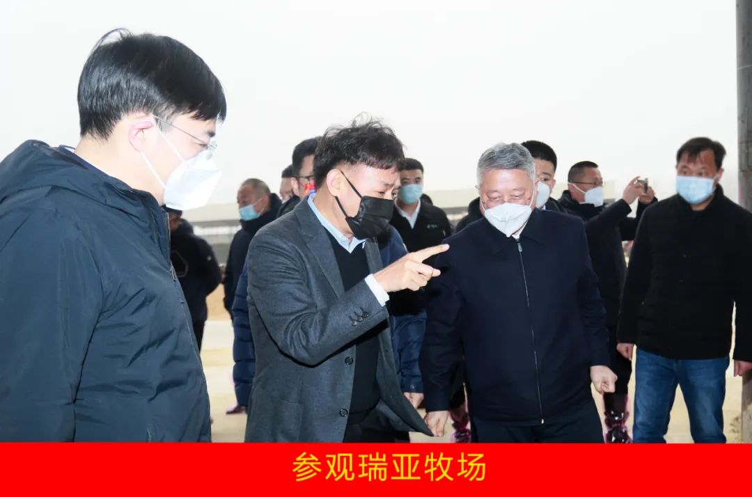 新年開新局 合作促發(fā)展丨佳木斯市委常委、副市長閆志剛一行蒞臨花花牛乳業(yè)集團及佳田企業(yè)考察座談
