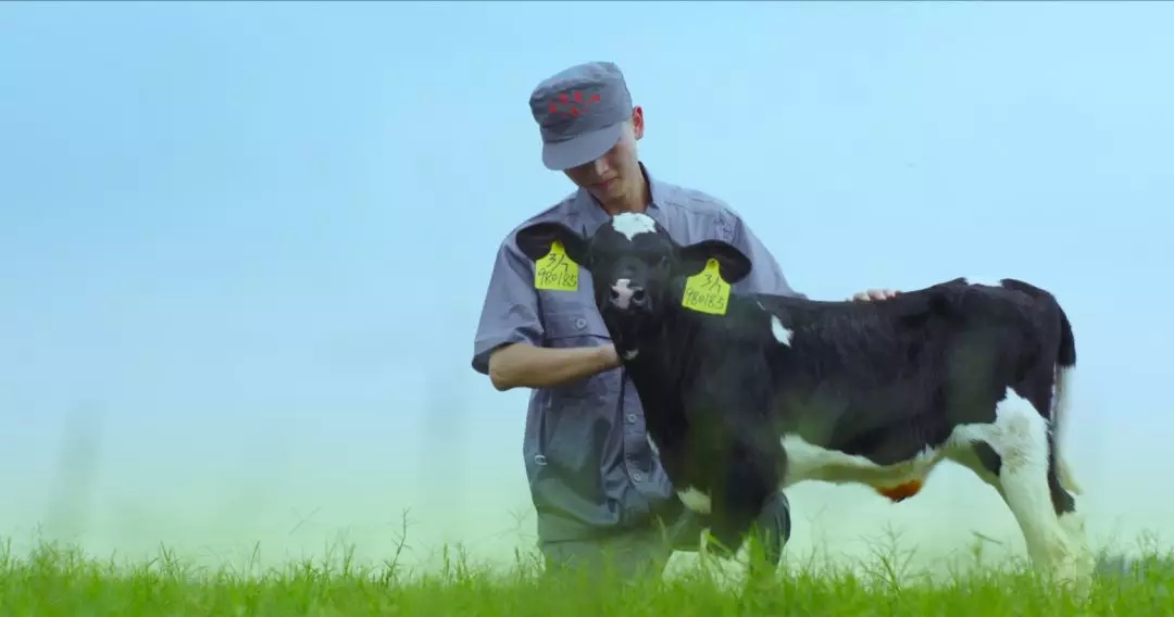 河南省人大常委會(huì)黨組書(shū)記、副主任孔昌生蒞臨花花牛魯山瑞亞牧場(chǎng)參觀調(diào)研