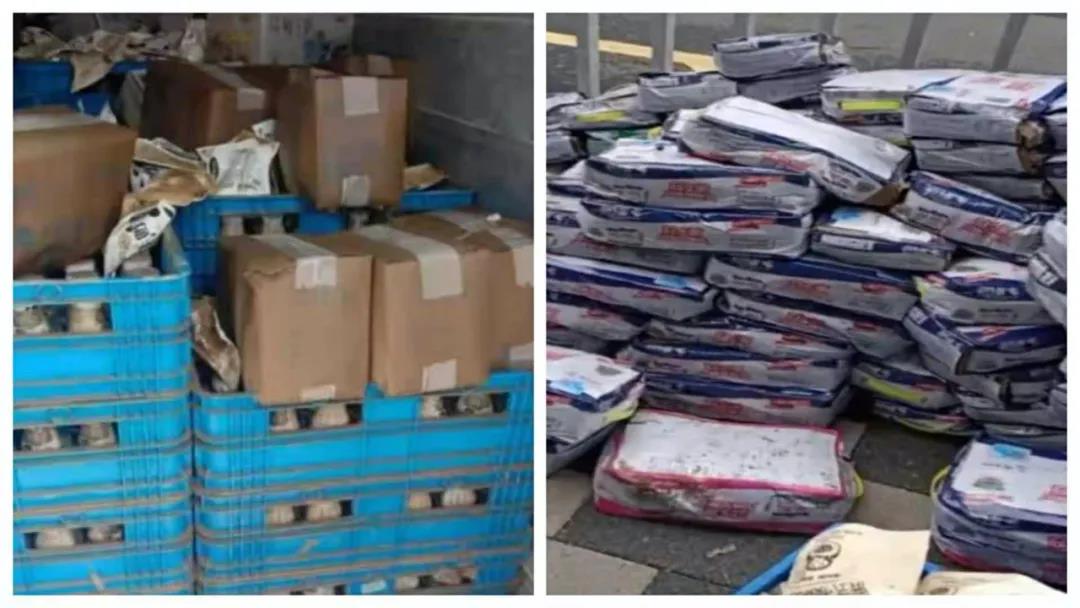 【乳報(bào)·聚焦】“豫”難而上的中原牛人“太中了”！