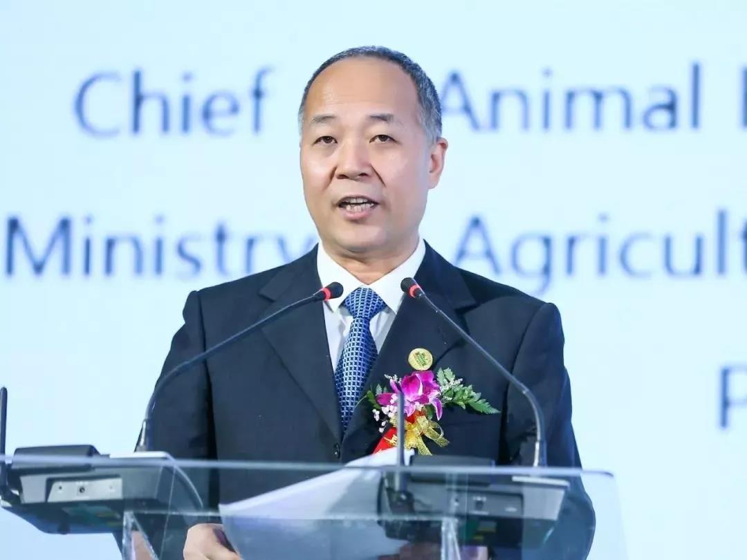 SDDDC走進(jìn)河南，看看花花牛的國際范兒！