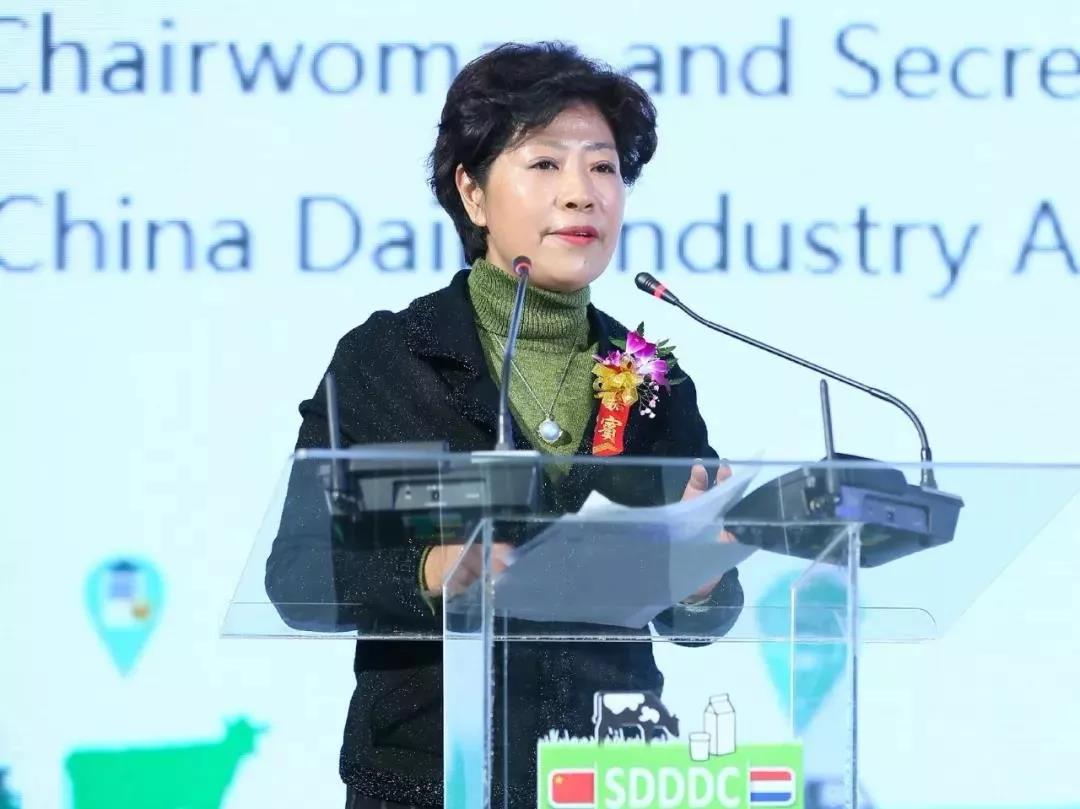 SDDDC走進(jìn)河南，看看花花牛的國際范兒！