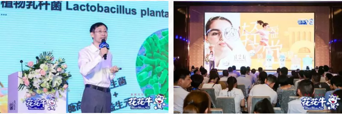 花花牛輕覺(jué)上市暨優(yōu)質(zhì)乳工程認(rèn)證發(fā)布會(huì)，盛大啟幕！