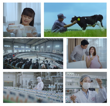 花花牛亮相中國奶業(yè)20強呼倫貝爾峰會，共話中國奶業(yè)振興！