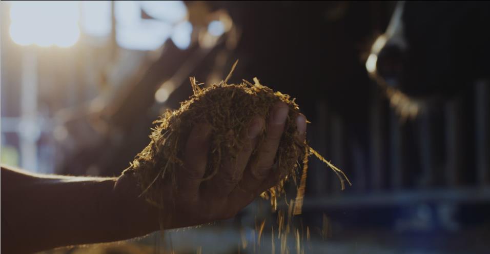 又雙叒叕獲獎(jiǎng)啦！花花牛榮獲“乳品質(zhì)量安全管理 優(yōu)秀企業(yè)”