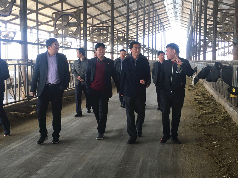 封丘縣縣長王獻(xiàn)臣一行蒞臨 花花牛集團(tuán)養(yǎng)殖、乳品事業(yè)部參觀調(diào)研