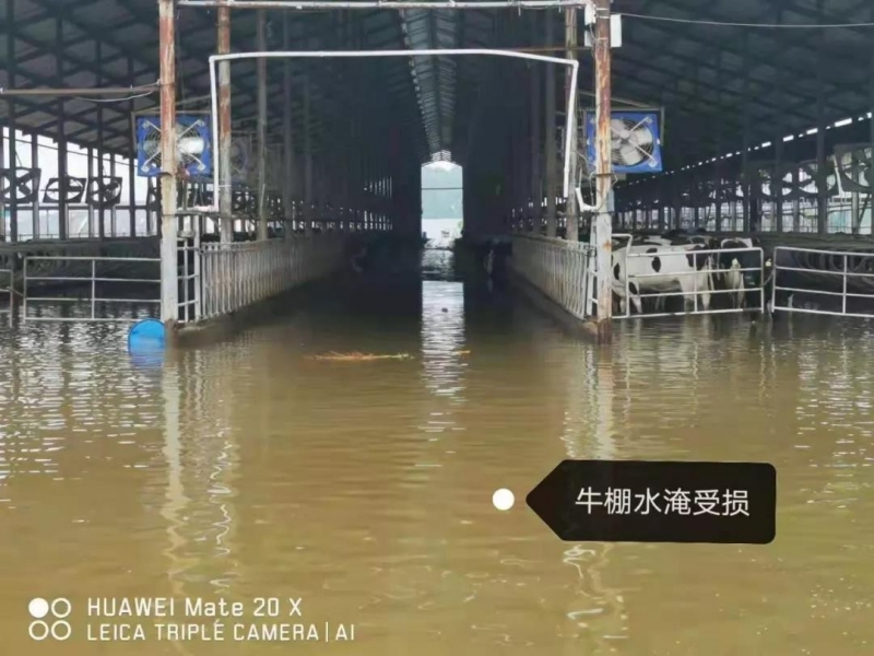 【乳報(bào)·聚焦】“豫”難而上的中原牛人“太中了”！