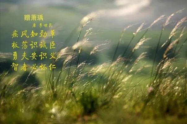 花花牛 | 疾風(fēng)來臨，你是不是勁草？
