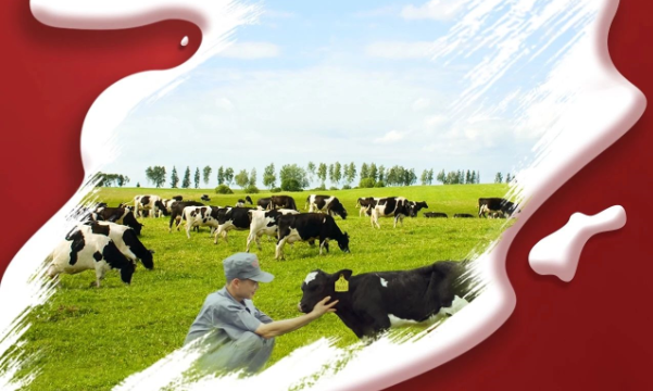 喜報(bào)！花花牛董事長(zhǎng)關(guān)曉彥再獲”優(yōu) 秀企業(yè)家”稱號(hào)